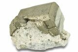 Striated, Cubic Pyrite Crystal - Peru #256163-1